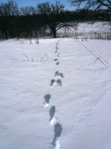 Not what Minnesota looks like at the moment, hallelujah...