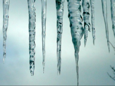 icicles P1010174 copy 2