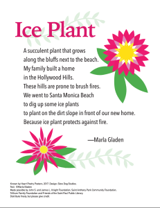 "Ice Plant" by Marla Gladen.