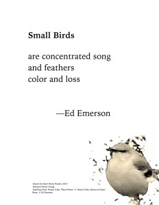 "Small Birds" by Ed Emerson