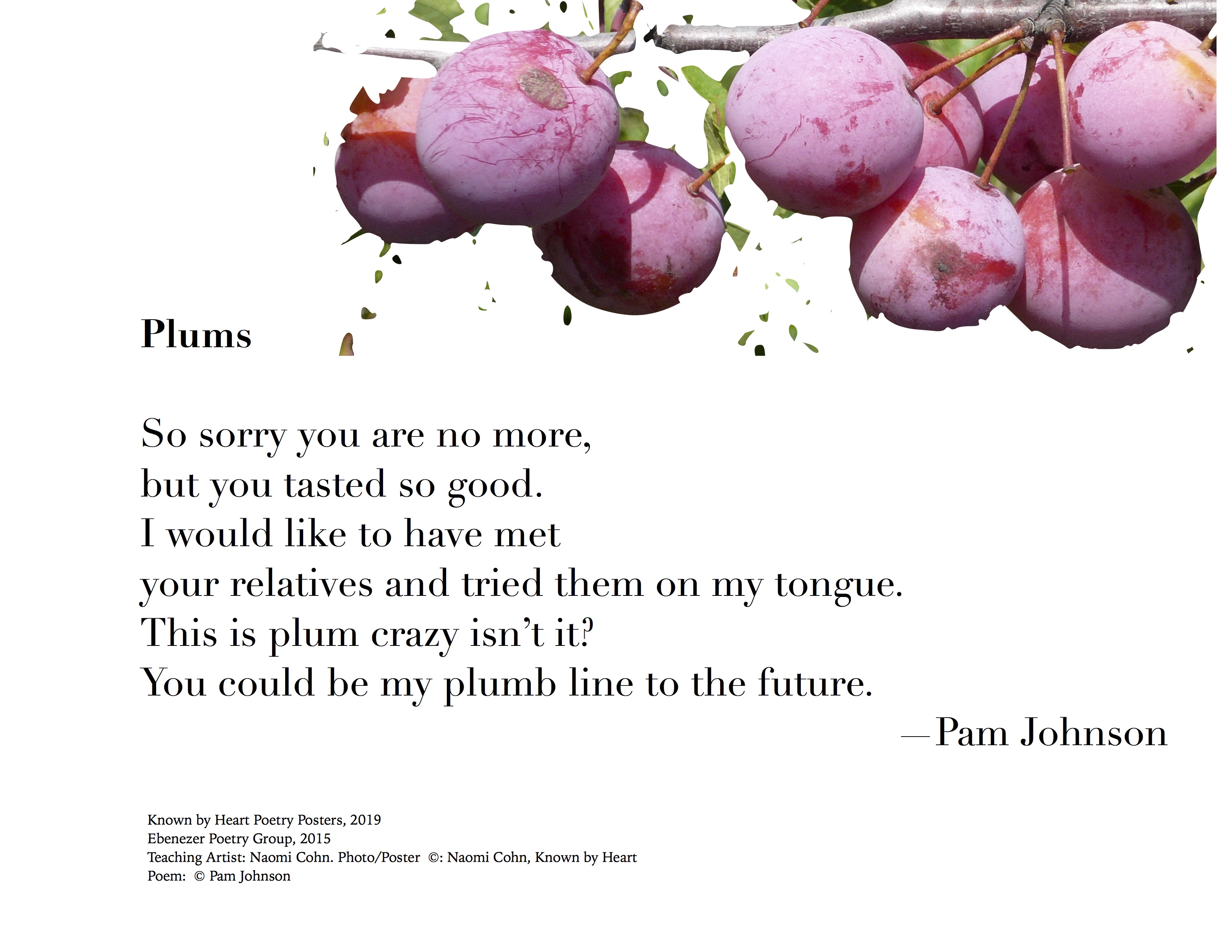 "Plums" by Pam Johnson