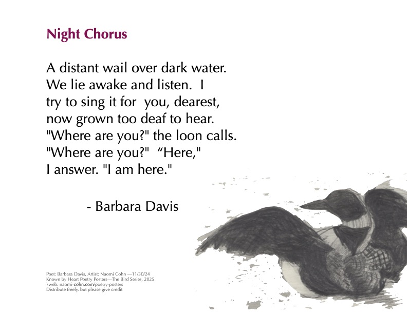 broadside combining poem by Barbara Davis and artwork of a loon, wings spread, by Naomi Cohn.